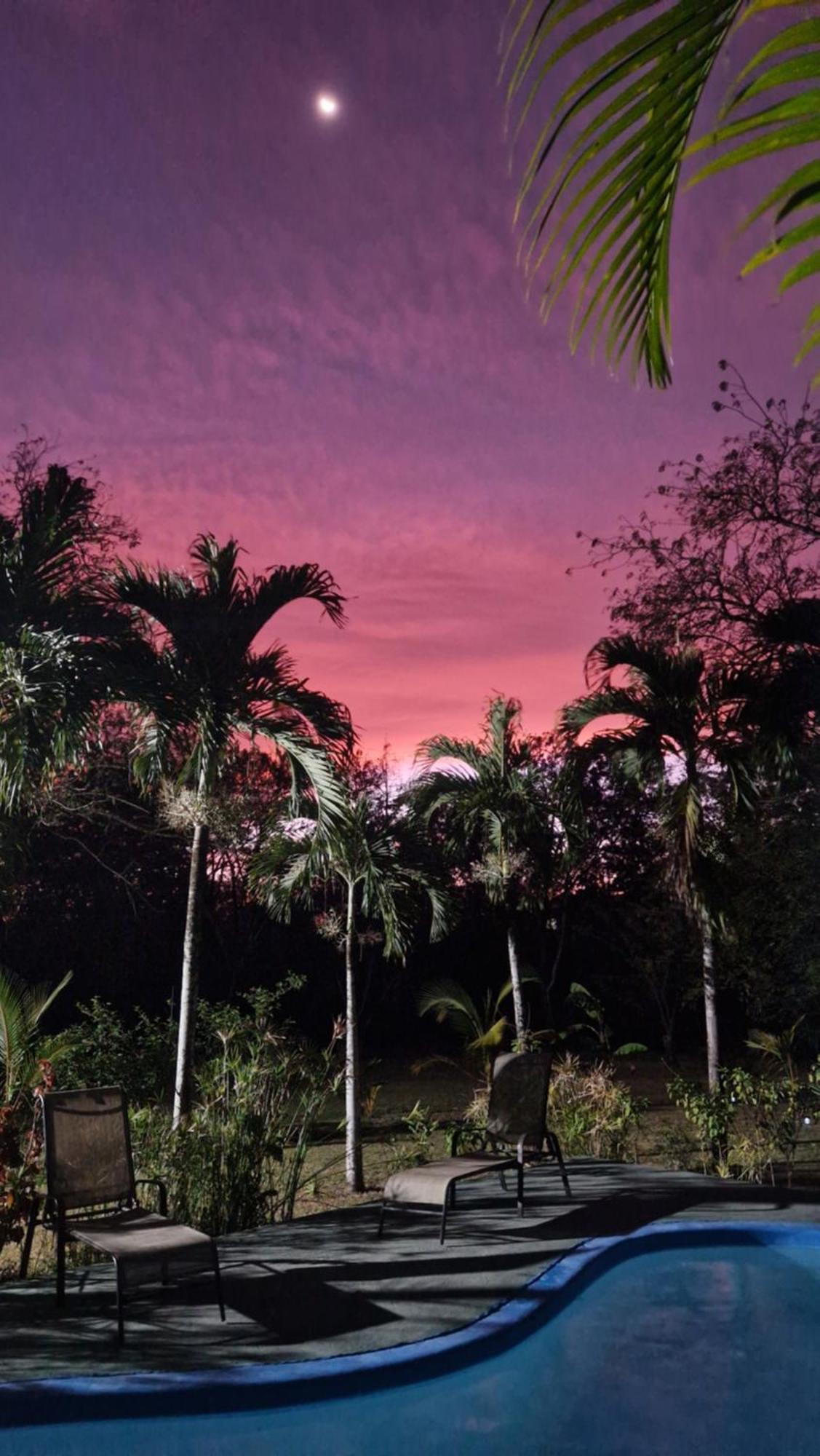 Villas Jungle 5 Самара Экстерьер фото